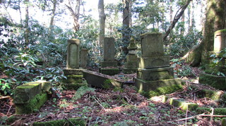 IMG_9375.JPG